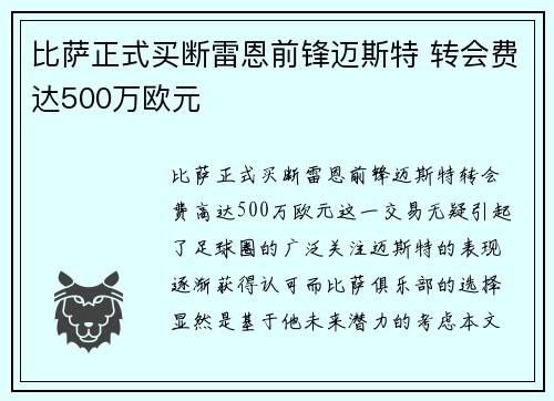 比萨正式买断雷恩前锋迈斯特 转会费达500万欧元